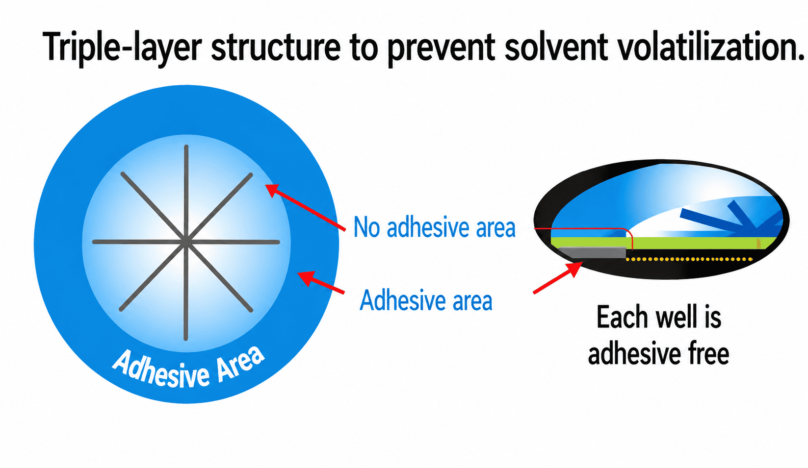 RAPID Slit Seal adhesive-free area above each well
